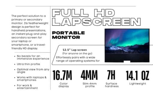Portable Monitor Full HD Lapscreen pichi